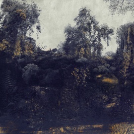 Black and White Photography | DegreeArt.com The Original Online ...